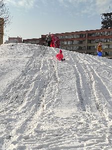 Zimní sporty (3)