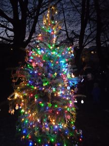 Koledy a rozsvícení vánočního stromečku (3)